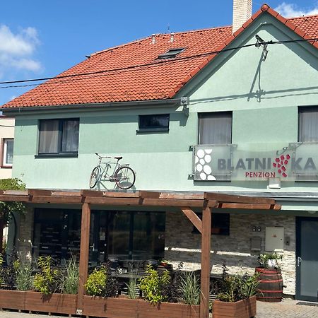 Penzion Blatnička Bagian luar foto